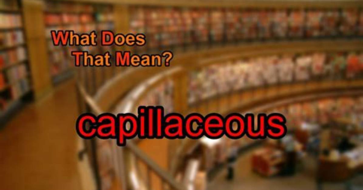 What Does Capillaceous Mean?