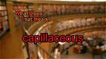 What Does Capillaceous Mean?