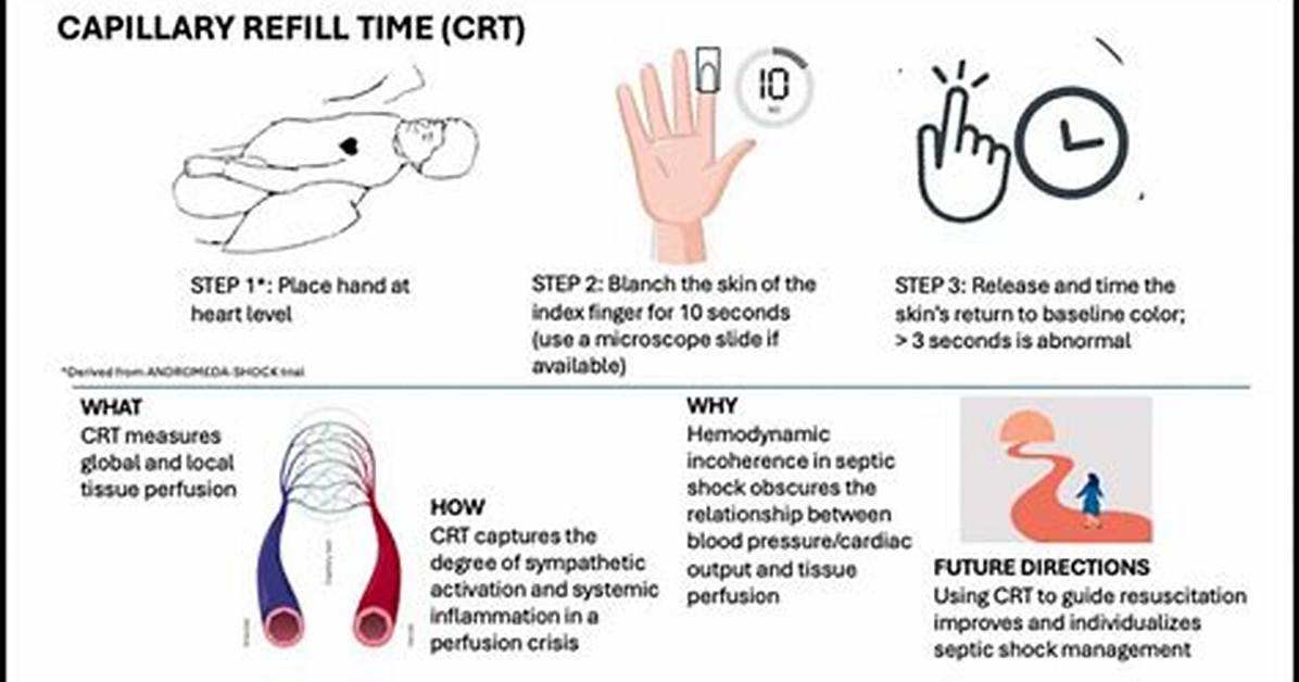 What Does Capillary Refill Time Indicate