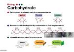 What Does Carbohydrate Mean?