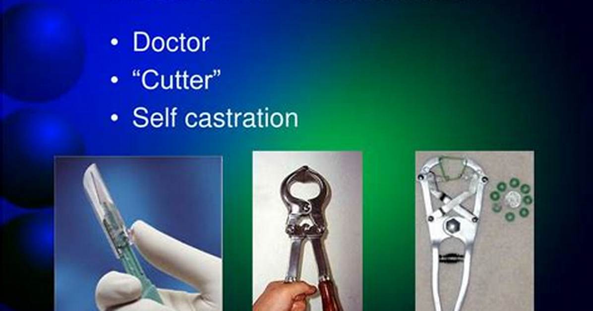What Does Castration Mean?