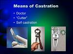 What Does Castration Mean?