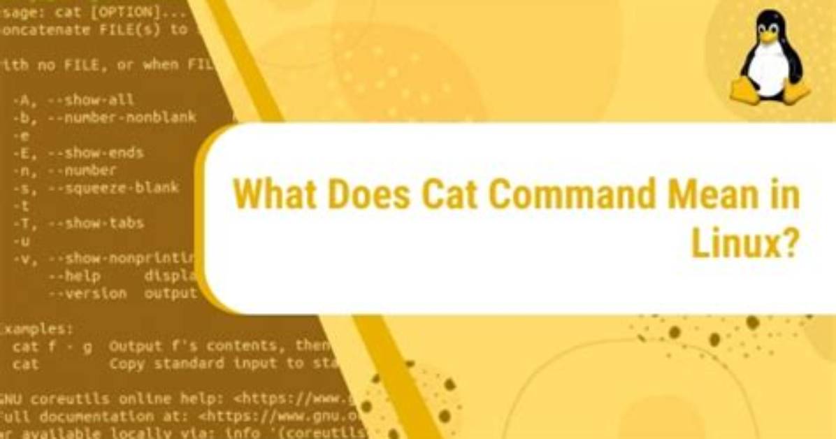 What Does Cat Command Mean in Linux?