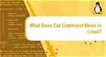 What Does Cat Command Mean in Linux?
