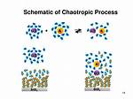 What Does Chaotropic Mean