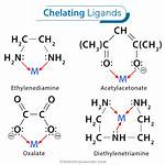 What Does Chelated Mean