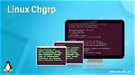 What Does Chgrp Do in Linux?