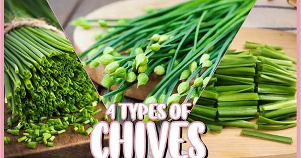 What Does Chieve Means?