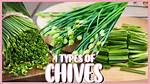 What Does Chieve Means?