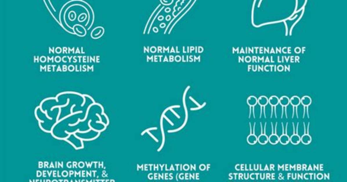 What Does Choline Do?
