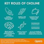 What Does Choline Do?