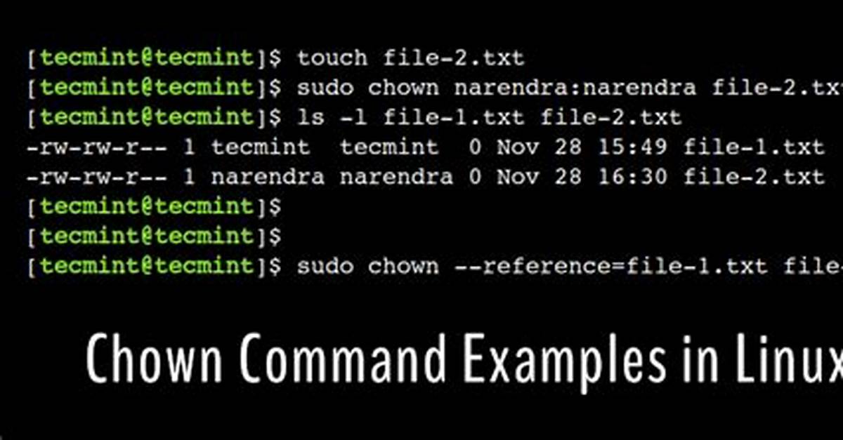 What Does Chown Do in Linux?