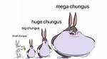 What Does Chungus Mean?
