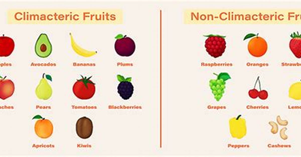 What Does Climacteric Fruit Mean
