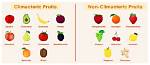 What Does Climacteric Fruit Mean