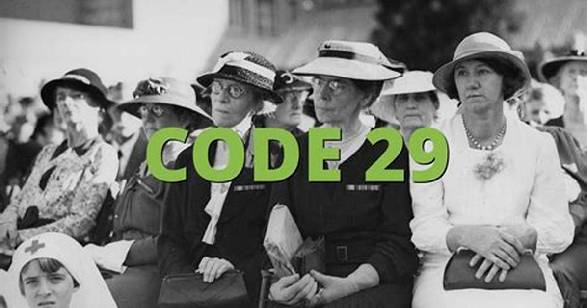 What Does Code 29 Mean