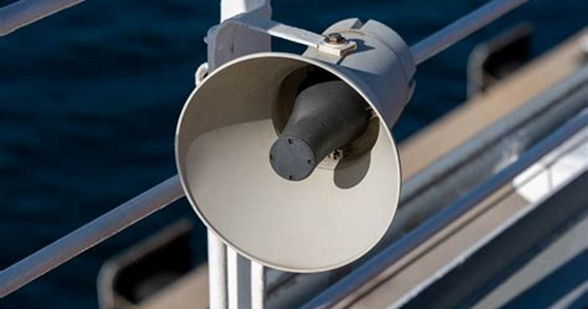What Does Code Alpha Mean on a Cruise?