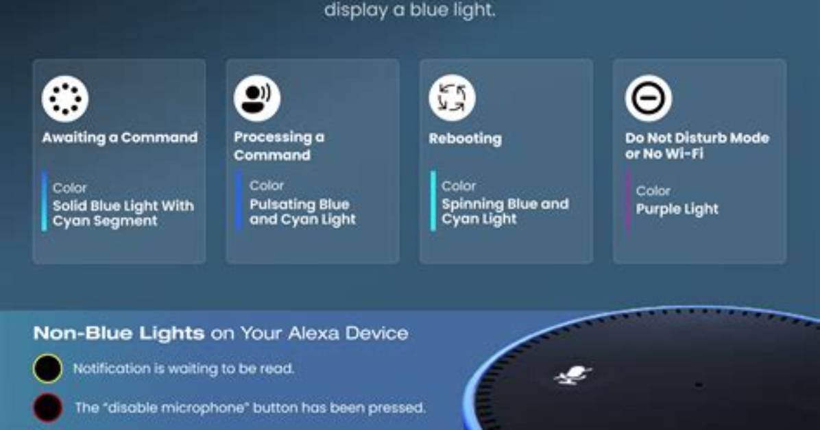 What Does Code Echo Mean?
