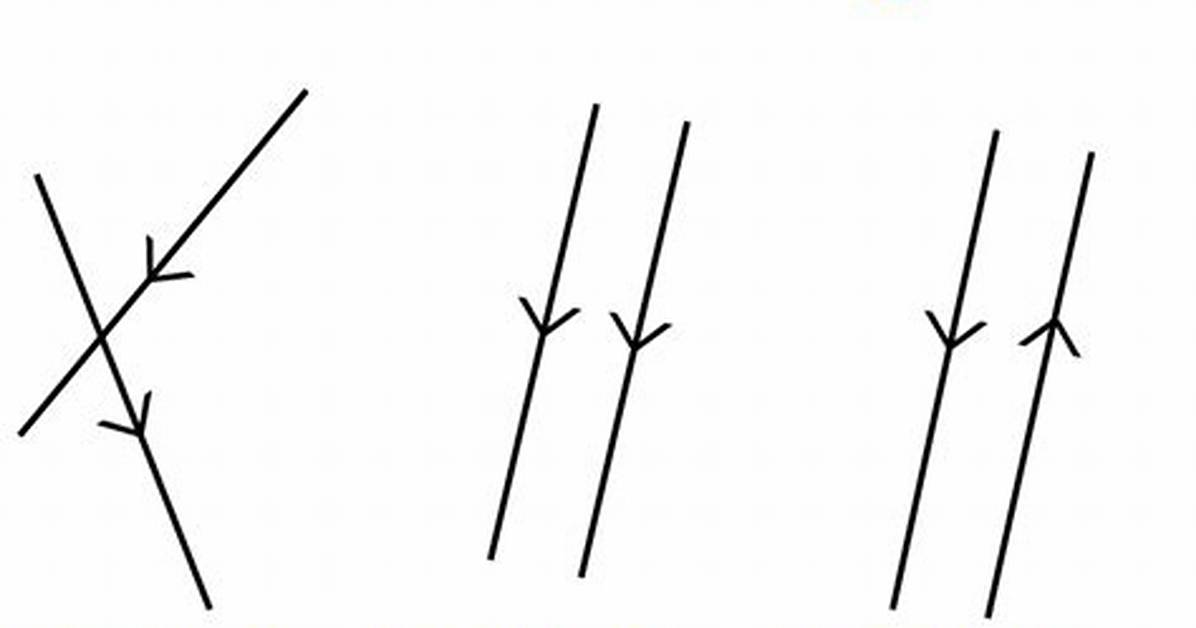 What Does Codirected Mean?