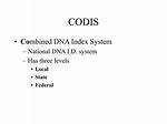 What Does Codis Stand For