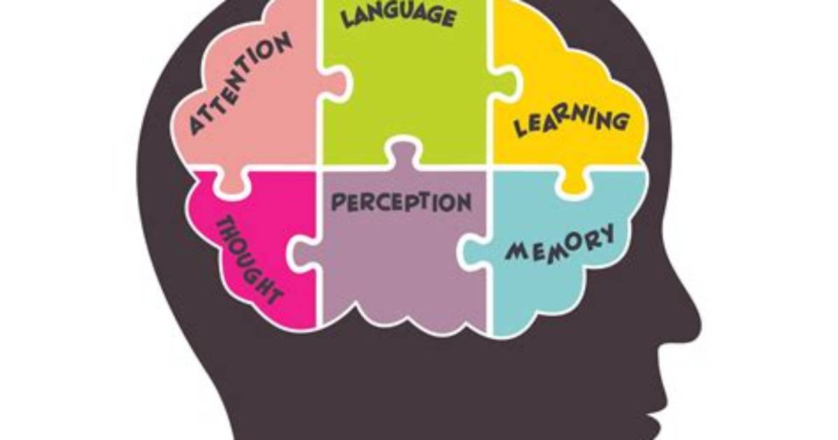 What Does Cognitive Level Mean?