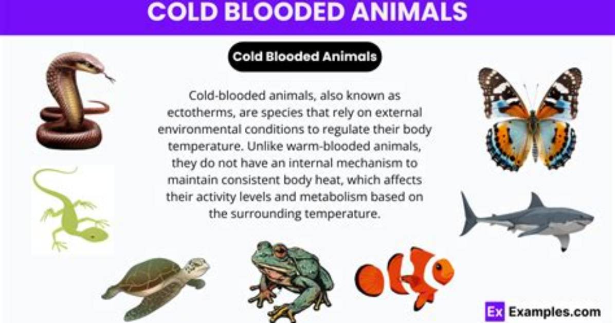 What Does Cold-Bloodedness Mean?