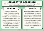 What Does Collective Behavior Mean