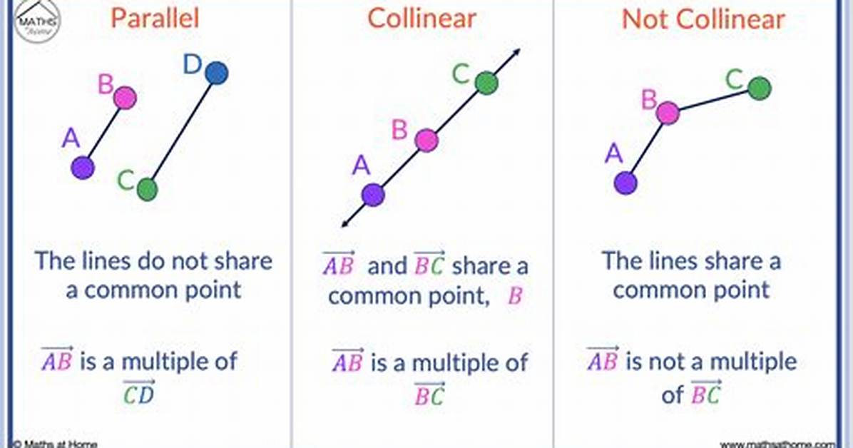 What Does Collinear Mean?