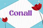 What Does Conall Mean?