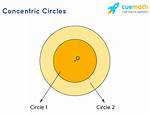 What Does Concentric Mean?