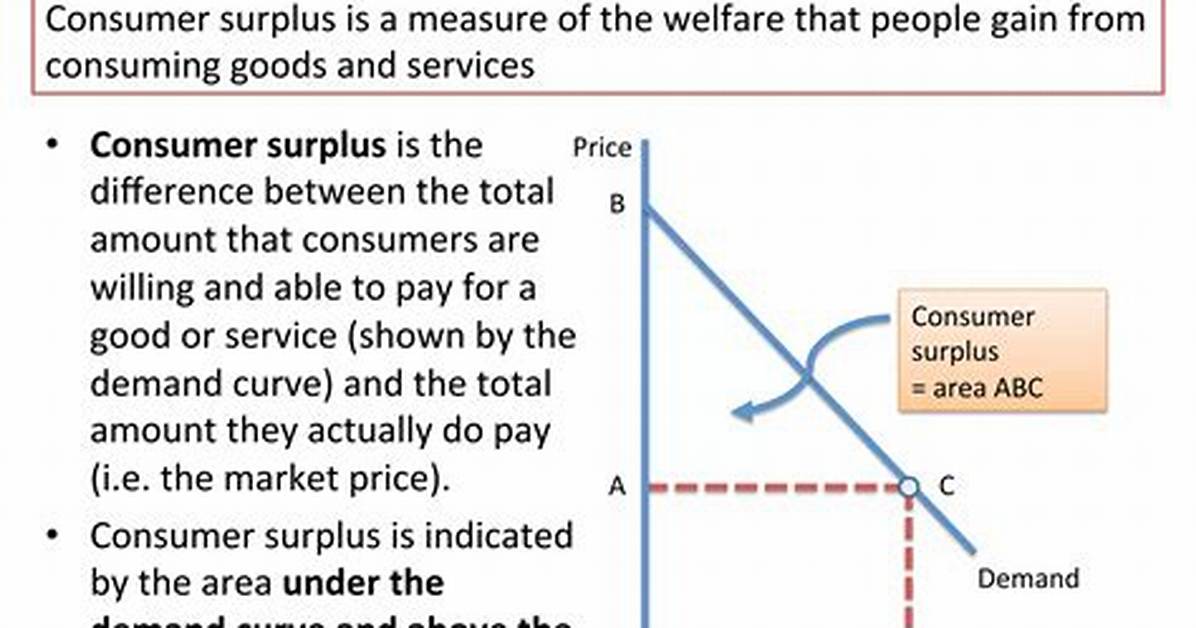 What Does Consumer Surplus Mean