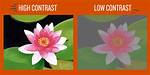 What Does Contrast Me?