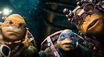 What Does Cowabunga Mean