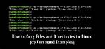 What Does Cp Command Do in Linux?