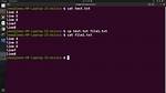 What Does Cp Do in Linux?