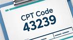 What Does Cpt Code 43239 Mean? Check This out | 43239 Cpt Code