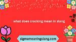 What Does Cracking Mean?