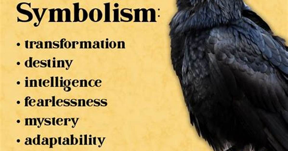 What Does Crows Mean?