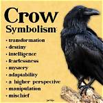 What Does Crows Mean?