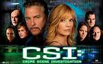 What Does Csi Stand For