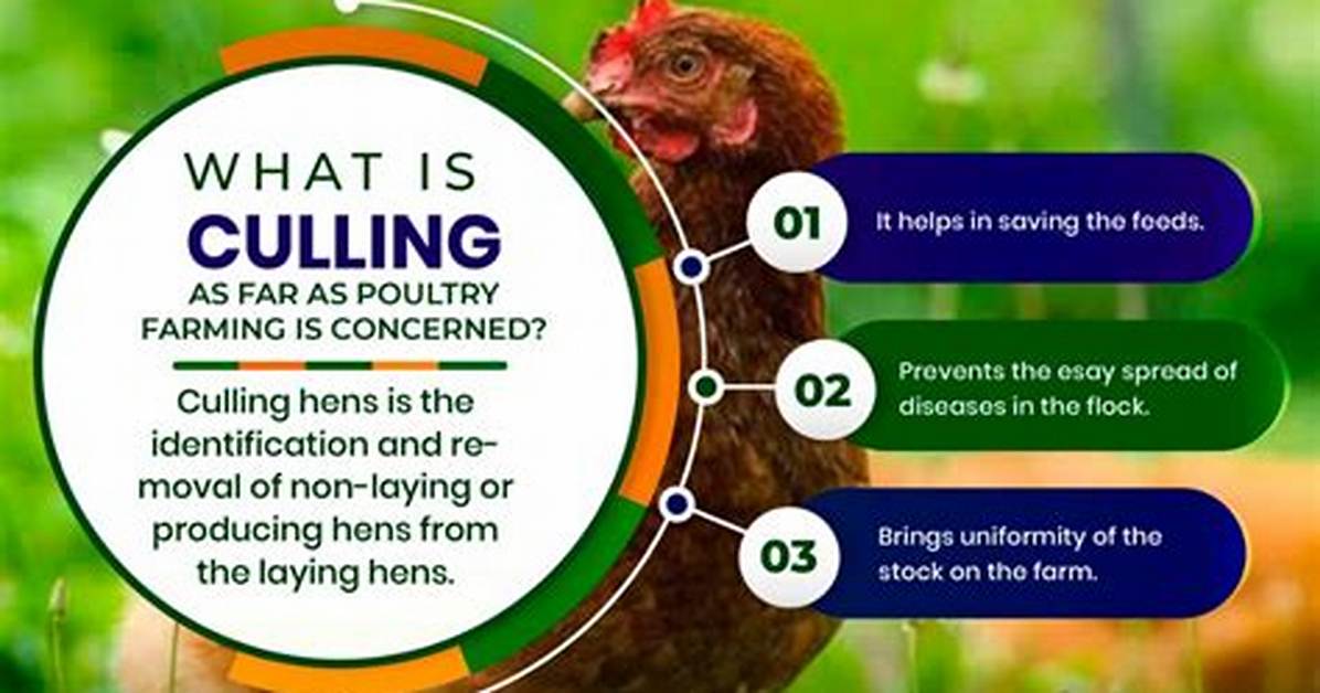 What Does Cull Mean?