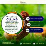 What Does Cull Mean?