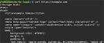 What Does Curl Do in Linux?