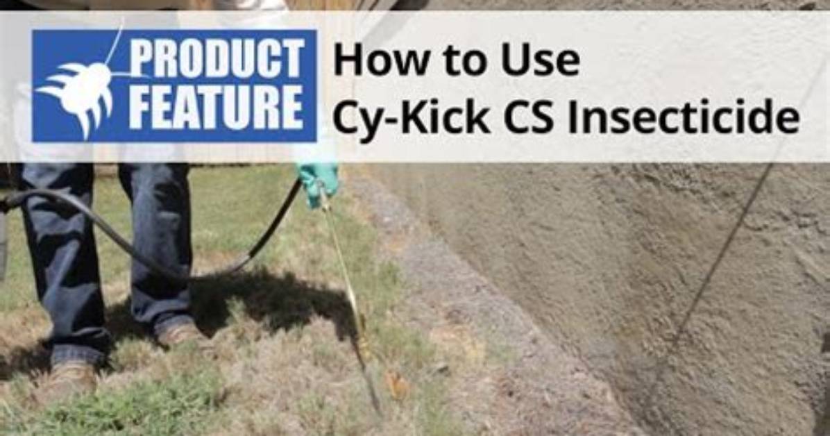 What Does Cy Kick Kill