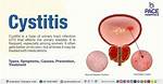 What Does Cystitis Mean?