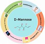 What Does D Mannose Do?