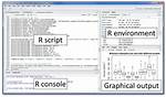 What Does Data () Do in R?