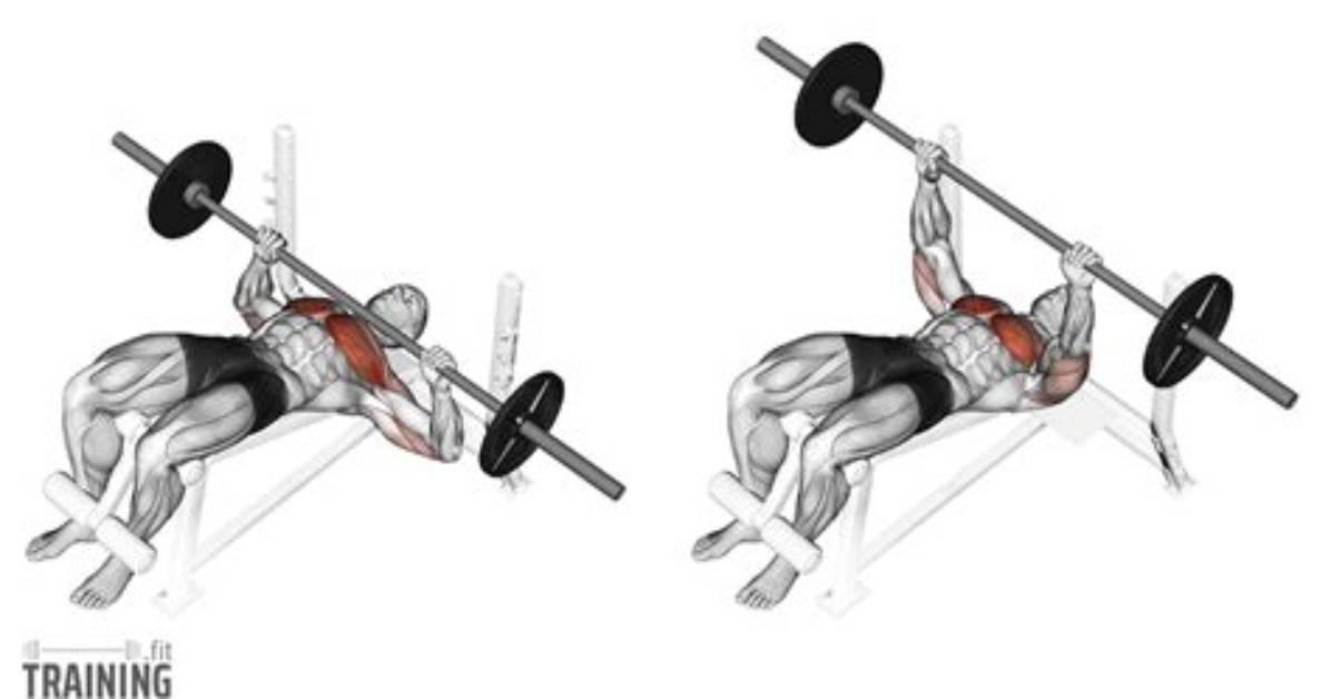What Does Decline Bench Work