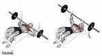 What Does Decline Bench Work