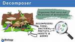 What Does Decompose Mean